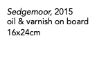 Sedgemoor, 2015 oil & varnish on board 16x24cm